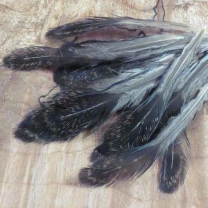 Speckled Black,White, Brown Hen